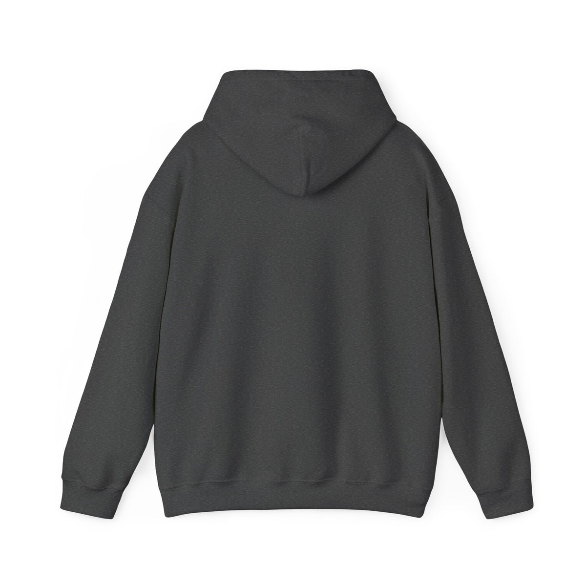 Adapted Court Heavy Blend Hooded Sweatshirt image 15 — LOAF SOCIETY COMMON GROUND